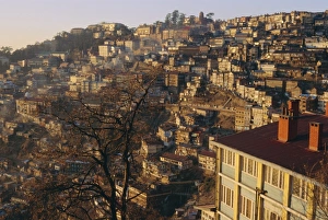 Jointly Prints: The old British summer hill station of Simla at sunset