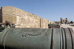 Rampart Prints: Old cannons