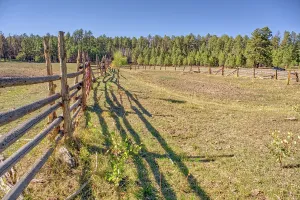 Fence Prints: Old cattle corral at the bottom of dry Murrays Lake in Kaibab National Forest of Arizona with shadows cast by the fence