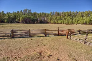 Fence Prints: Old cattle corral located in the dry area of Murrays Lake surrounded by forest in Arizona