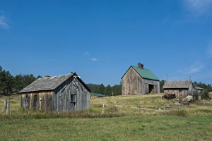 South Dakota Prints: Old farm, Black Hills, South Dakota, United States of America, North America