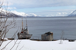 Whale Island Prints: Old fishing boat laid up on Kvaloya (Whale Island)