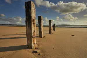 United Prints: Old groynes stand on the beach at Crow Point in Devon under a clear sky with scattered clouds