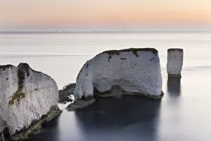 Images Dated 29th May 2009: Old Harry Rocks, The Foreland or Handfast Point, Studland, Isle of Purbeck