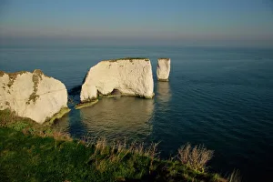 Surface Processes Prints: Old Harry rocks, Isle of Purbeck, Dorset, England, United Kingdom, Europe