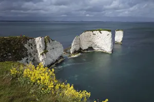 Old Harry Rocks on the Jurassic Coast, UNESCO World Heritage Site, Swanage, Dorset