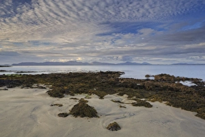 County Mayo Prints: Old Head, County Mayo, Connacht, Republic of Ireland, Europe