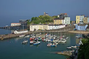 Pembrokeshire Prints: The old historic harbour in evening summer sunshine, Tenby, Pembrokeshire National Park