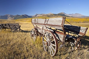 Cart Prints: Old horse-drawn wagons with the Rocky Mountains in the background, near Waterton