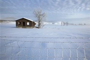 Wire Prints: Old house in winter
