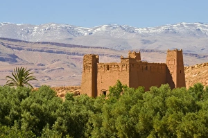 Images Dated 19th May 2008: Old ksar in the Dades Gorge, Morocco, North Africa, Africa