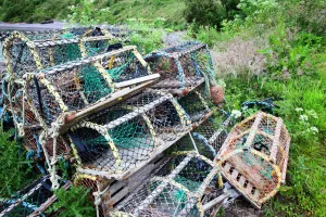Fishing Prints: Old lobster pots at Catterline, Aberdeenshire, Scotland, United Kingdom, europe