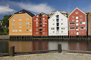 Trondheim Prints: Old merchants warehouses, Nidelva, Trondheim, Norway, Scandinavia, Europe
