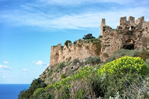 Olive Prints: Old Navarino fortress above Voidokilia beach, Greece
