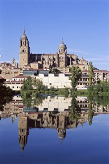 Motionless Prints: The Old and New Cathedrals