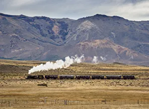 Argentinean Prints: Old Patagonian Express La Trochita, steam train, Chubut Province, Patagonia, Argentina