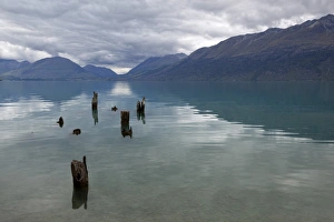 Wooden Post Prints: Old pier posts on Lake Wakatipu, Glenorchy, Otago, South Island, New Zealand, Pacific