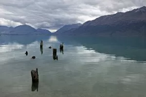 Wooden Post Gallery: Old pier posts on Lake Wakatipu, Glenorchy, Otago, South Island, New Zealand, Pacific