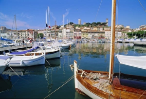 Cannes Prints: The old port, Cannes, Cote d Azur, Provence, France