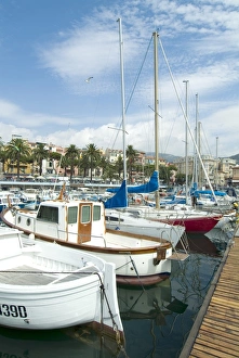 Recreational Boat Prints: Old Port and marina