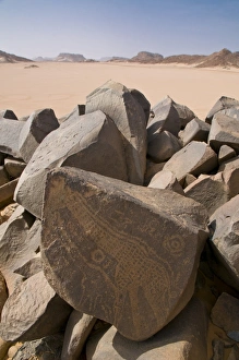 Inscriptions Prints: Old rock inscriptions in the Tassili n Ajjer, Sahara, Southern Algeria
