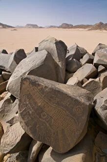 Images Dated 5th April 2010: Old rock inscriptions in the Tassili n Ajjer, Sahara, Southern Algeria