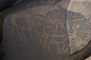 Rock Art Prints: Old rock inscriptions in the Tassili n'Ajjer