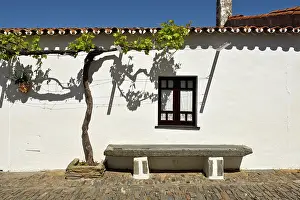 Alentejo Prints: Old stone bench and vine covered wall in Monsaraz
