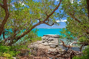 Reach Prints: Old stone dock at Ferry Reach surrounded by trees in Bermuda showing clear water and blue sky