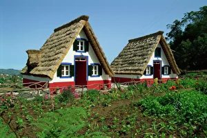 Cottage Prints: Old thatched farmhouses in gardens at Santana