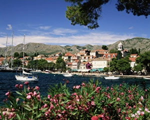 Cavtat Prints: The Old Town, Cavtat, Dubrovnik Riviera, Dalmatia, Dalmatian coast, Croatia, Europe