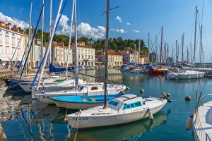 Primorska Prints: Old Town Harbour, Piran, Primorska, Slovenian Istria, Slovenia, Europe