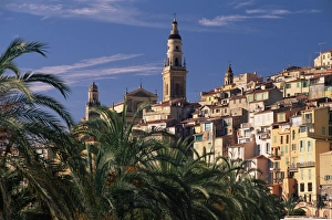 Menton Prints: The Old Town, with palm trees in foreground, Menton, Alpes Maritimes, Cote d Azur