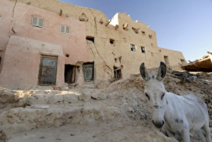 Social Deprivation Prints: Old town of Shali, Oasis of Siwa, Egypt, North Africa, Africa