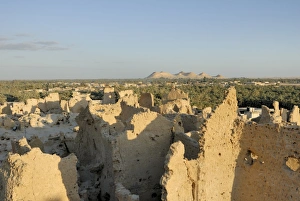 Oases Prints: Old town of Siwa, Oasis of Siwa, Egypt, North Africa, Africa