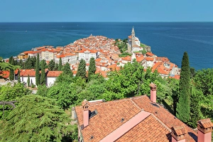 Marinas Prints: Old town and St. George Cathedral, Piran, Promorska, Istria, Slovenia