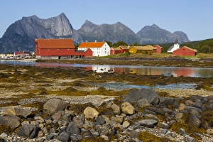 Export Prints: The old trading centre of Kjerringoy, Nordland, Norway, Scandinavia, Europe