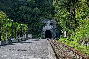 Plants Prints: Old train tunnel stands at the end of the railway in New Athon surrounded by green trees and a quiet path