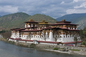Images Dated 9th April 2009: The old tsong, an old castle of Punakha, Bhutan. Asia