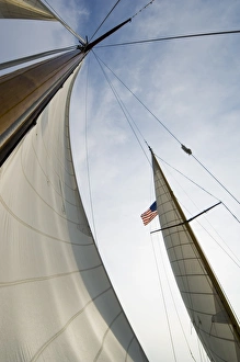 Images Dated 2nd January 2000: Old Vintage sail boat based at Knapps Narrows
