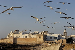 Images Dated 28th April 2007: Old waterfront city behind ramparts, Essaouira, historic city of Mogador
