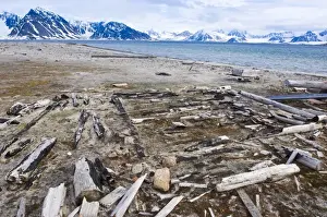 Whaling Prints: Old whaling station Amsterdamoya (Amsterdam island), Svalbard Archipelago