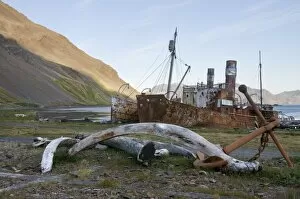 Images Dated 26th February 2009: Old whaling station, Grytviken, South Georgia, South Atlantic
