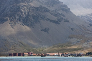 Whaling Prints: Old Whaling Station, Husvik Island, Antarctic, Polar Regions