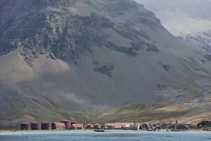 Old Whaling Station, Husvik Island, Antarctic, Polar Regions