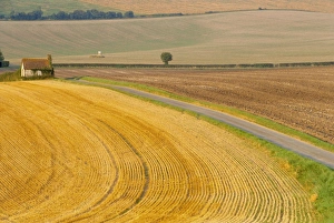 Old Winchester Hill, Hampshire, England