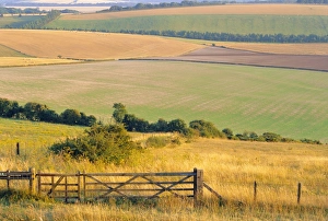 Old Winchester Hill, Hampshire, England