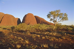 The Olgas Prints: The Olgas, Northern Territory, Australia