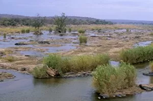 Images Dated 8th September 2010: Olifants river, Kruger National Park, South Africa, Africa