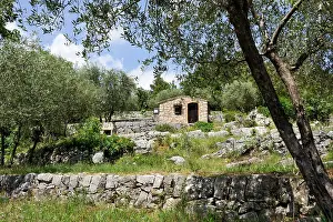Retreat Prints: Olive grove with stone building and rocky landscape in Provence Alpes Cote dAzur, France